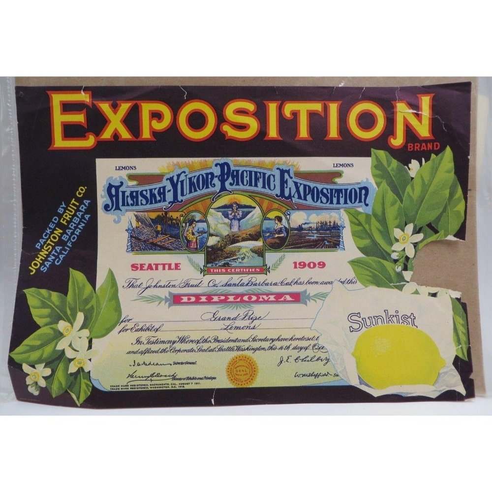 EXPOSITION BRAND Lemon Packing Crate Label JHE311